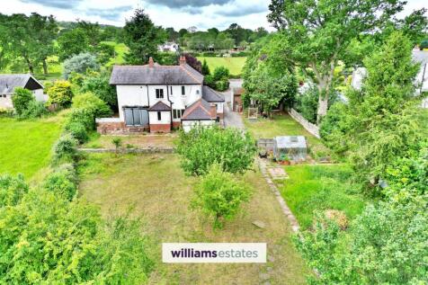 Aerial Shot