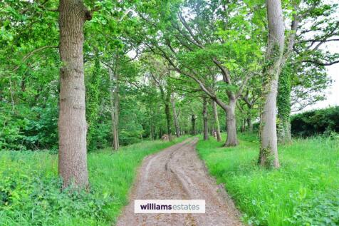 Woodland