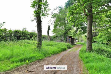 Woodland