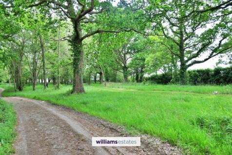 Woodland