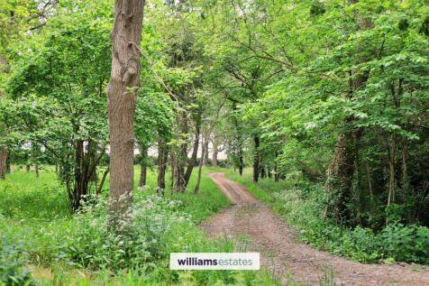 Woodland