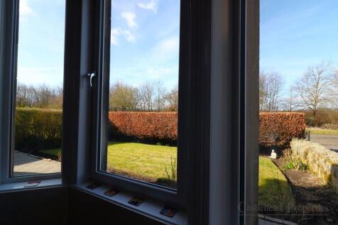 View from Dining Room