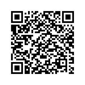 frame - 2025-01-15T131556.246.png