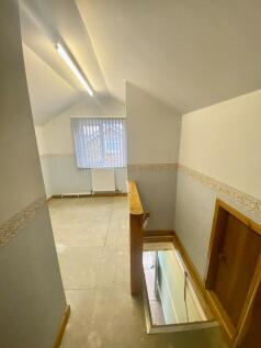 IMG_4261 copy