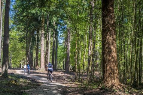 Country park 