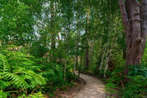Woodland Walk