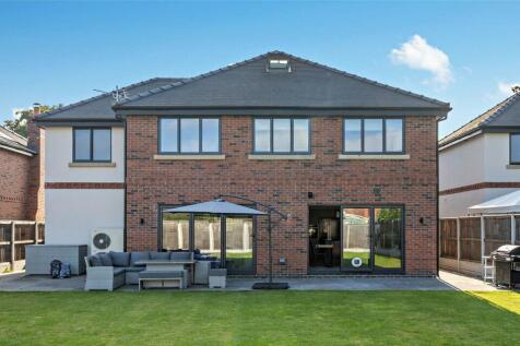 Rear Elevation