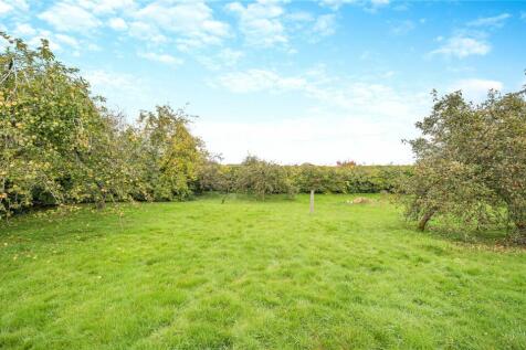 Orchard