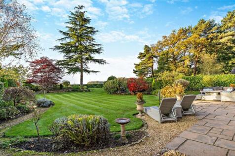 Rear Gardens