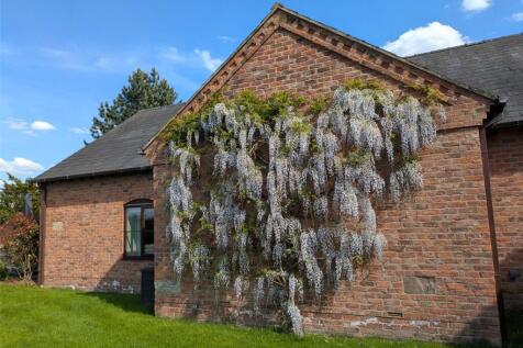 Wisteria