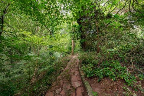 Woodland Walk