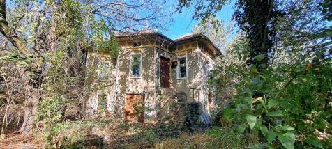 Property Image 19