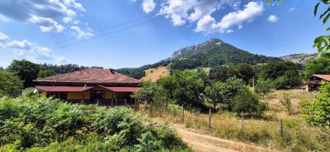 Property Image 37