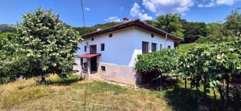 Property Image 38