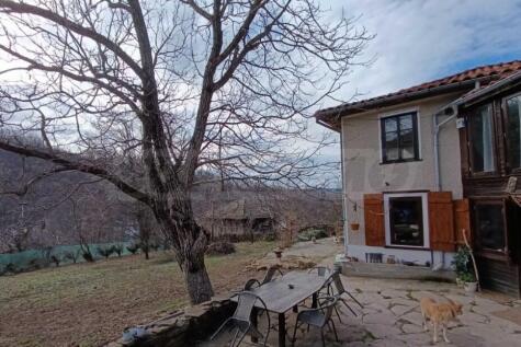 Property Image 27