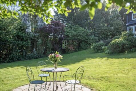 garden 4.jpg