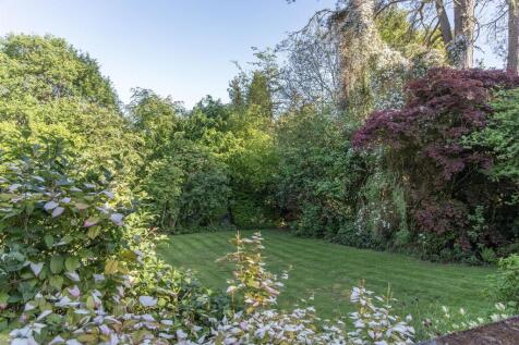 garden 8.jpg