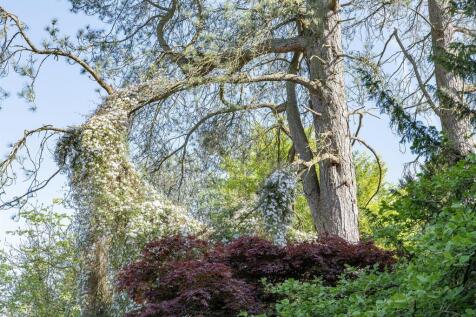 garden 9.jpg