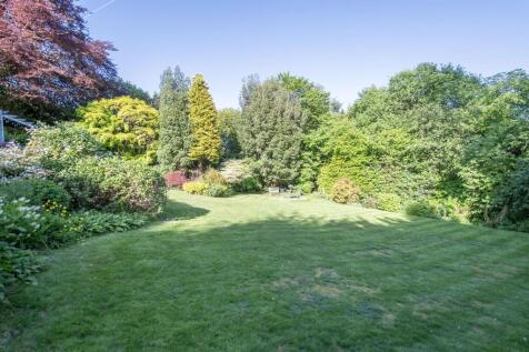 garden1.jpg