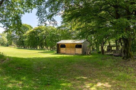 exterior back paddock 1 .jpg