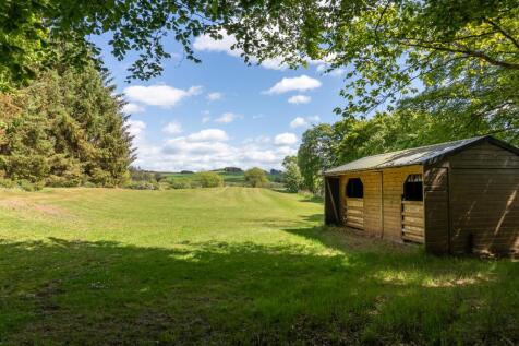 back paddock 2.jpg