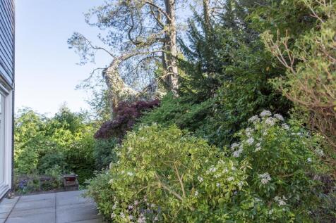 garden10.jpg