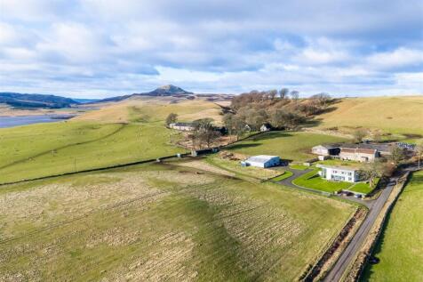 DJI_20250129130150_0335_D.jpg