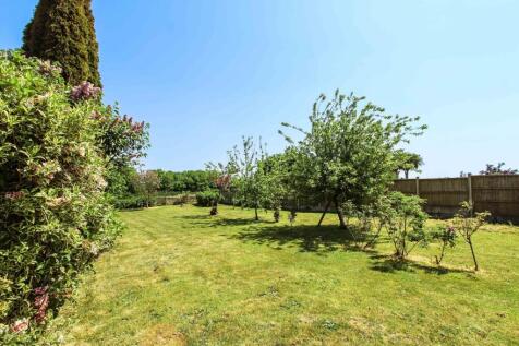 IMG_6871Garden a