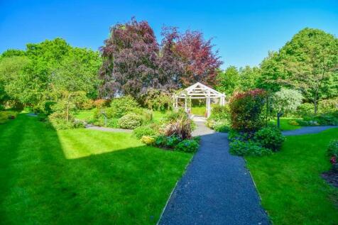 Garden at Back