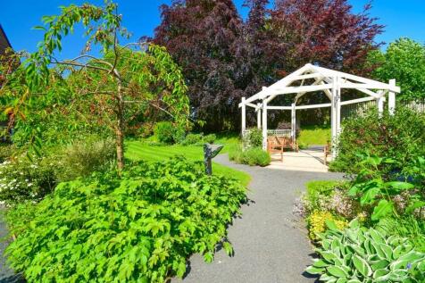 Garden at Back
