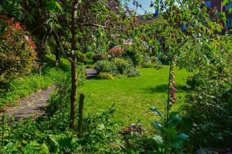 Garden at Back