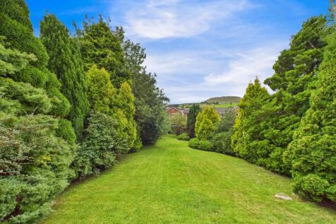 Extensive Rear Garden