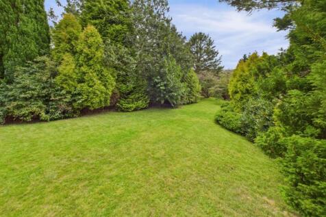 Lower Rear Garden