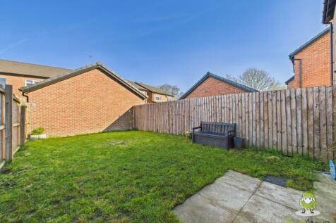 Garden Charlotte Thomasson Ewemove Whitchurch and 