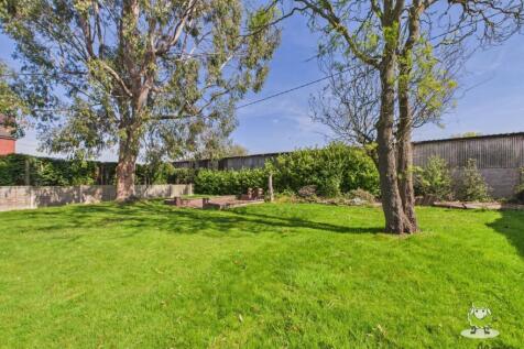 Garden Charlotte Thomasson Ewemove Whitchurch and 