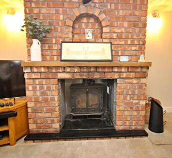Multi-Fuel Fire and Fireplace