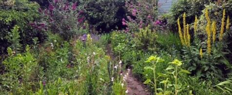 Garden new