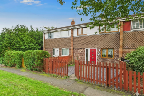 Gemini_Generated_Image_8yomzk8yomzk8yom