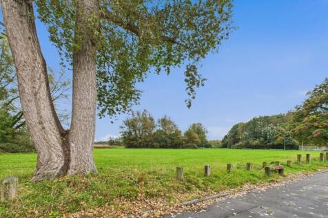 CAM02386G0-PR0146-STILL039