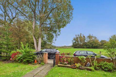 CAM02386G0-PR0146-STILL043