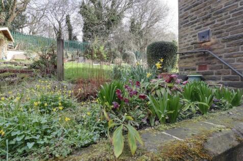 View back garden 1