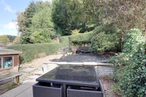 Back garden 3
