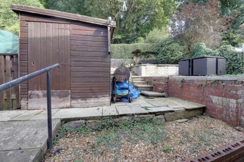 Back garden 1