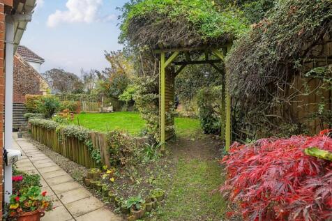 Back Garden