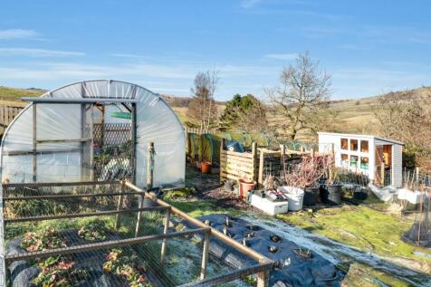 Poly-tunnel-and-Potting-Shed