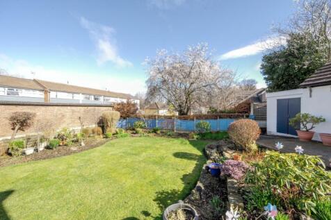 Back garden