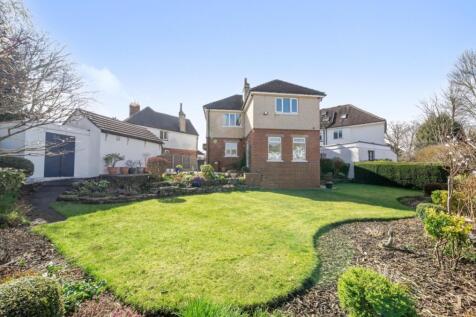 Back garden