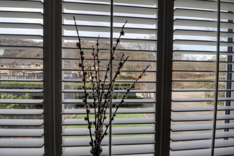 View from lounge