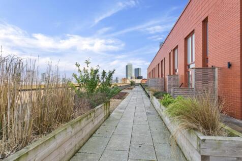 Roof Top Garden