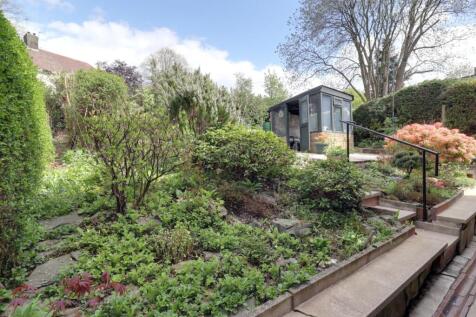 Back garden 1